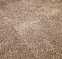 Bonkeel Sensei Beige фото 5 | FLOORDEALER